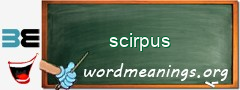 WordMeaning blackboard for scirpus